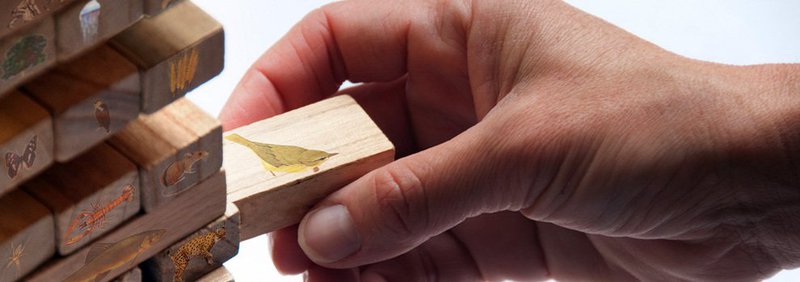 Bitcoin XT Big Block Fork Spurs Debate and Controversy 1