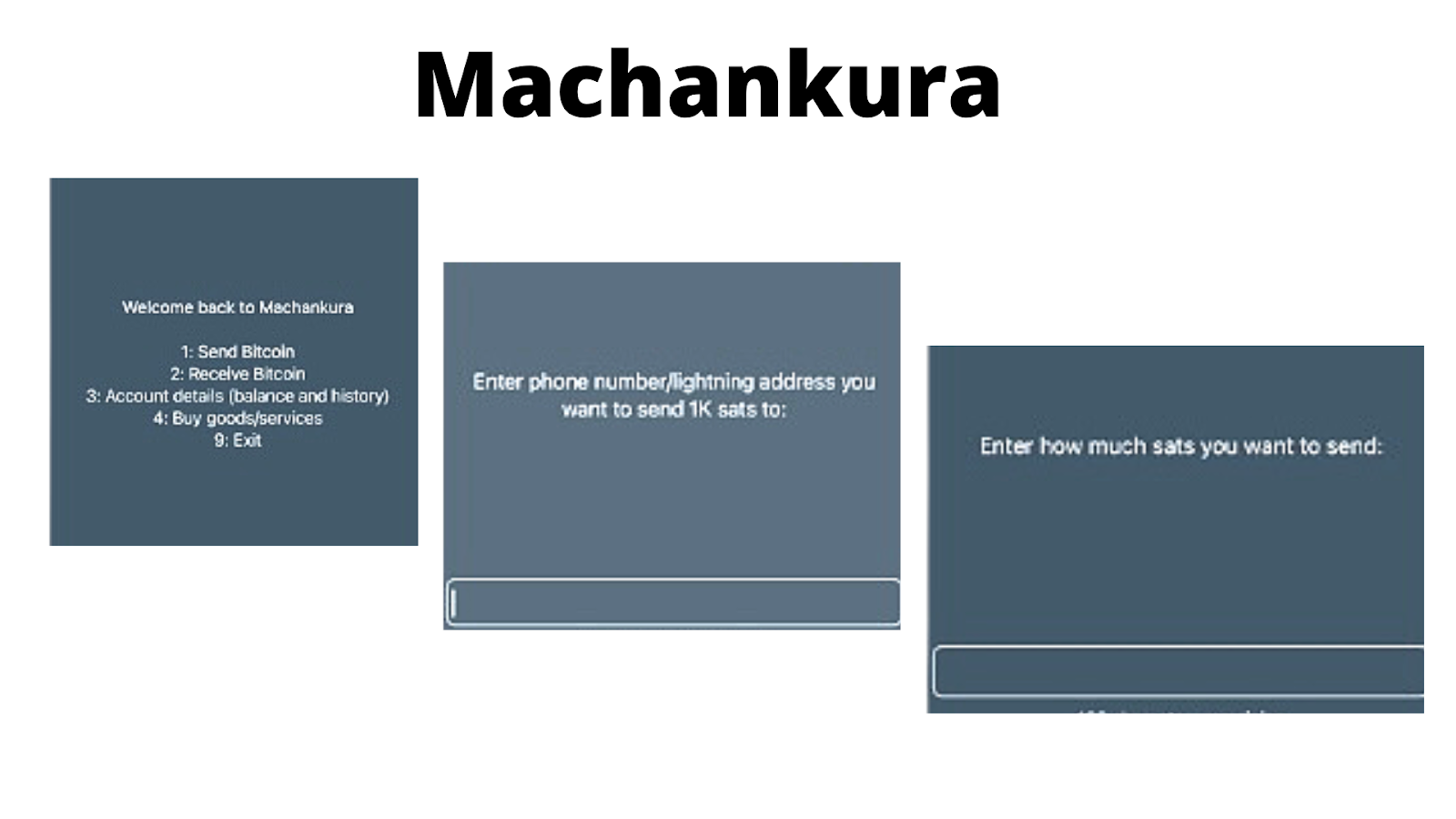 Bitcoin Projects Are Bringing Financial Inclusion To Feature Phones In Africa 3