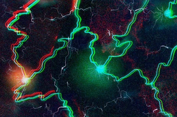 Lightning Torch’s Bitcoin Payment Is Running a Worldwide Marathon 1