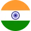 INR logo